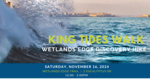 king tides walk, wave image